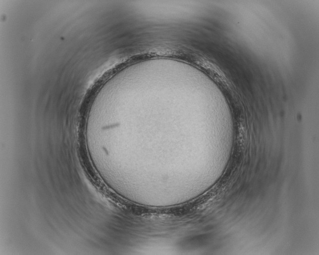 X0000088180730200706121650