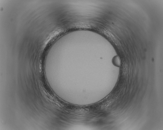 X0000088180731200706121650