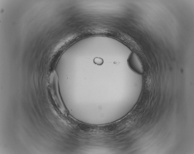 X0000088180732200706121650