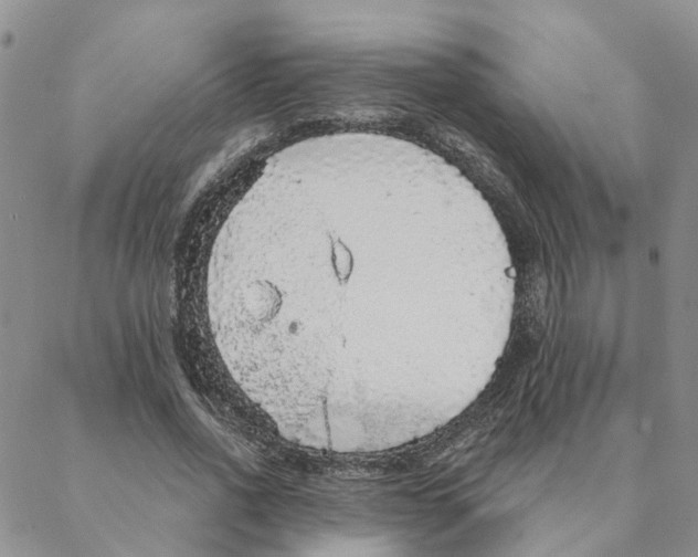 X0000088180734200706121650