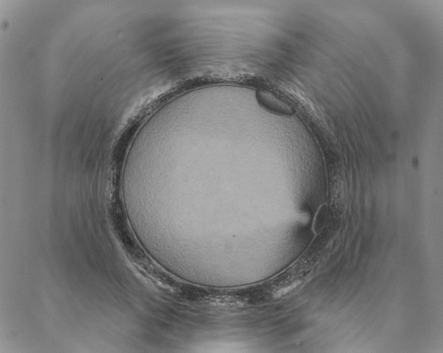 X0000088180736200706121650