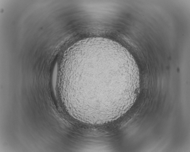 X0000088180737200706121650