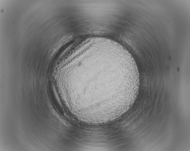 X0000088180738200706121650