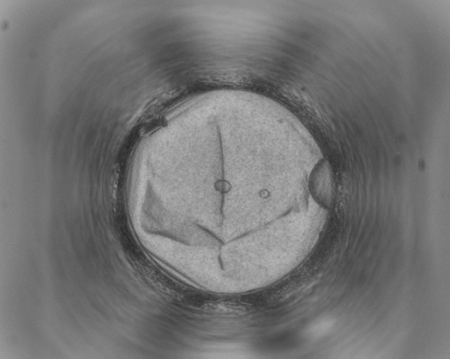 X0000088180739200706121650