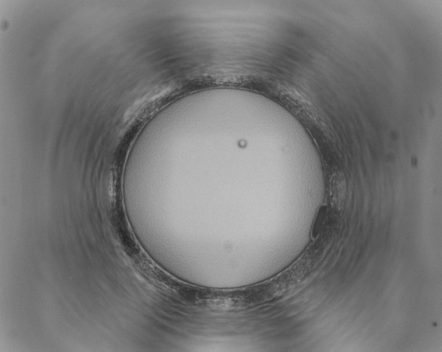 X0000088180740200706121650