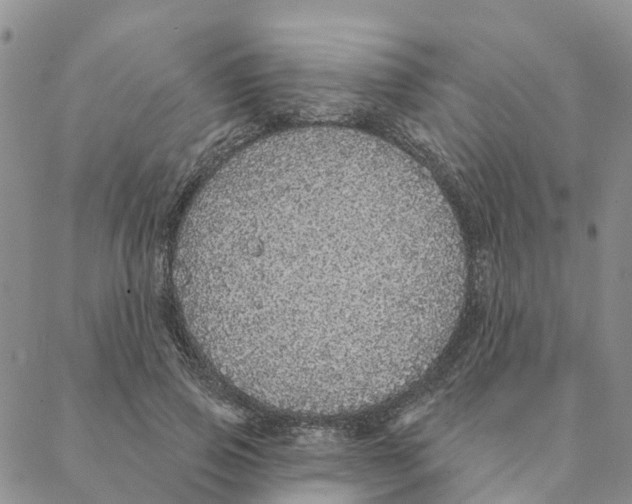 X0000088180741200706121650