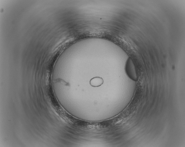 X0000088180744200706121650