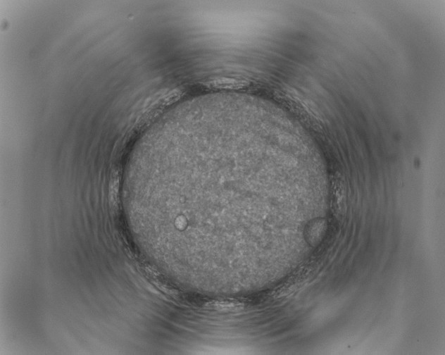 X0000088180745200706121650