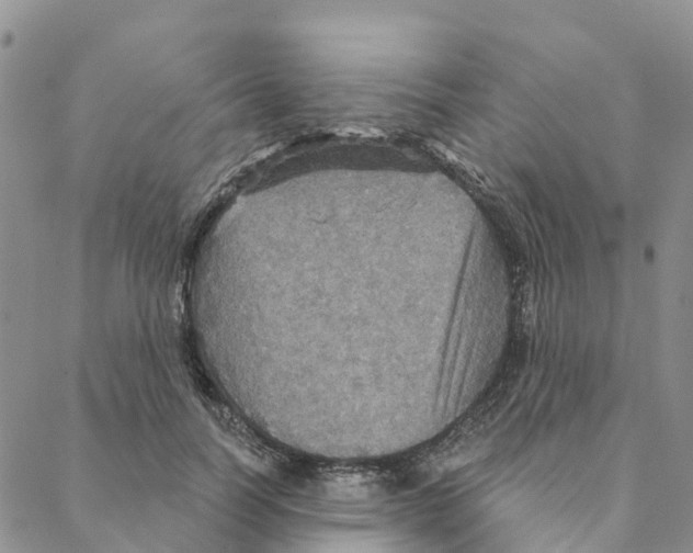 X0000088180746200706121650