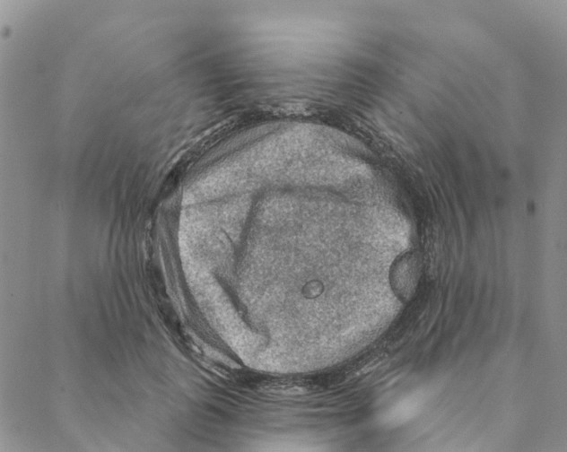 X0000088180747200706121650