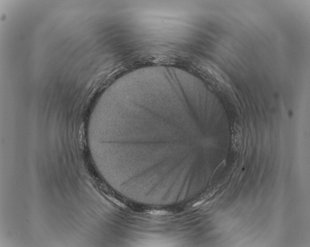 X0000088180748200706121650