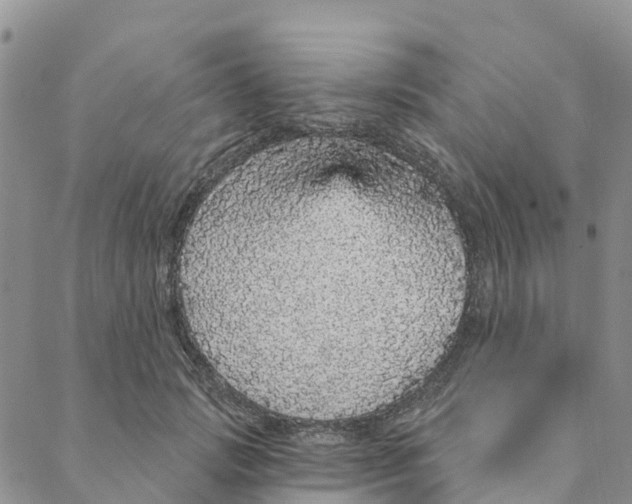 X0000088180749200706121650