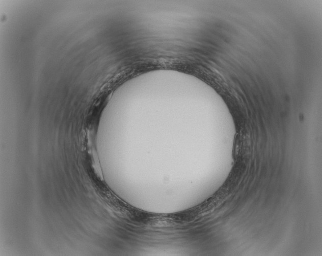 X0000088180750200706121650