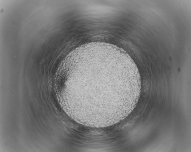 X0000088180753200706121650