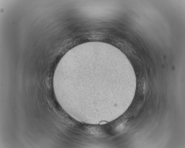 X0000088180755200706121651