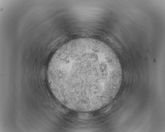 X0000088180757200706121651