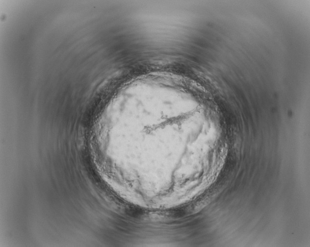 X0000088180758200706121651