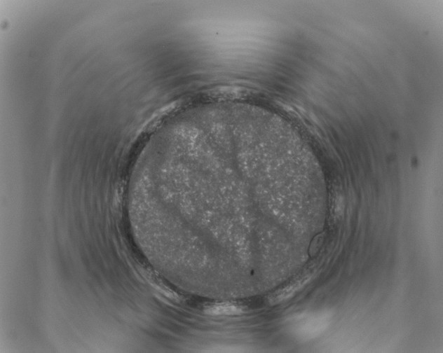 X0000088180759200706121651