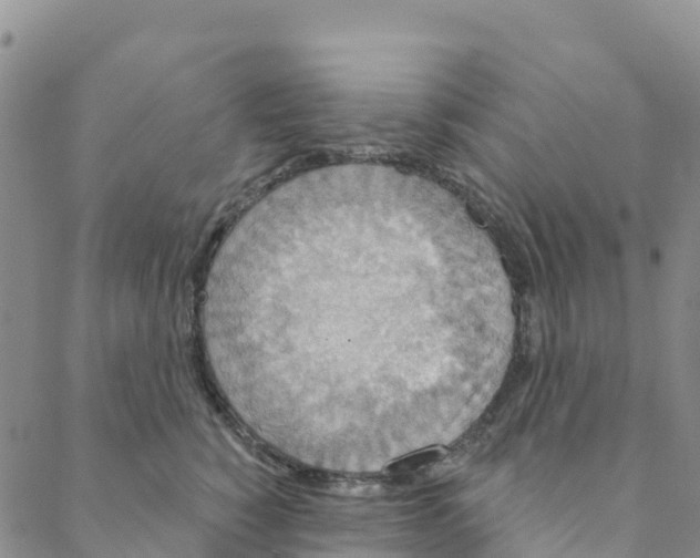 X0000088180760200706121651