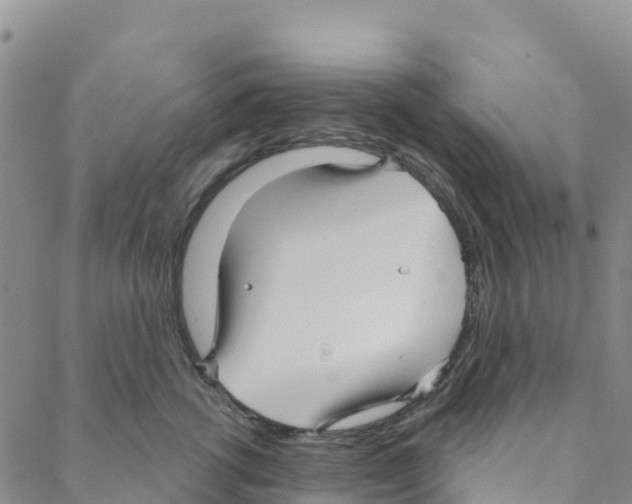 X0000088180762200706121651