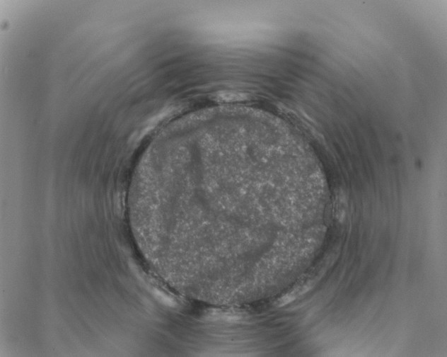 X0000088180763200706121651