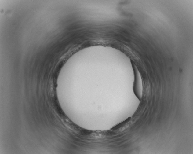 X0000088180764200706121651