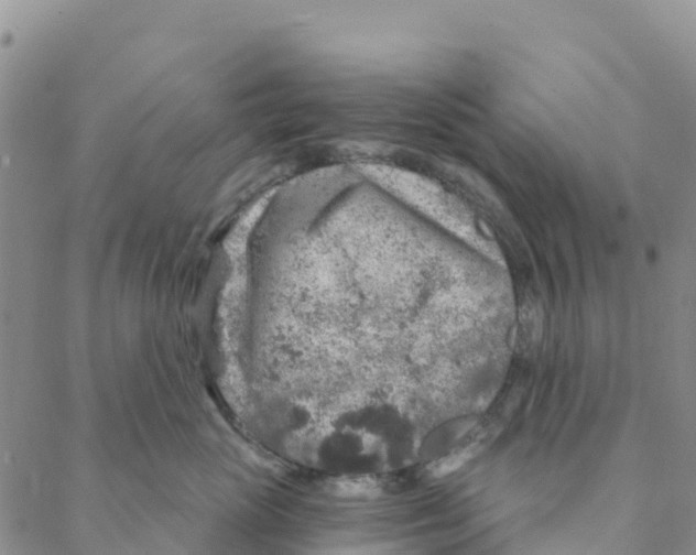 X0000088180765200706121651