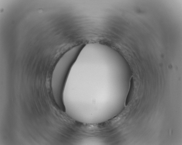 X0000088180768200706121651