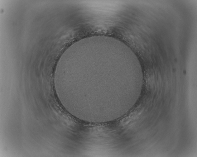 X0000088180769200706121650