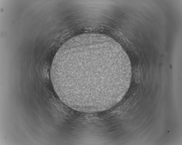 X0000088180770200706121650