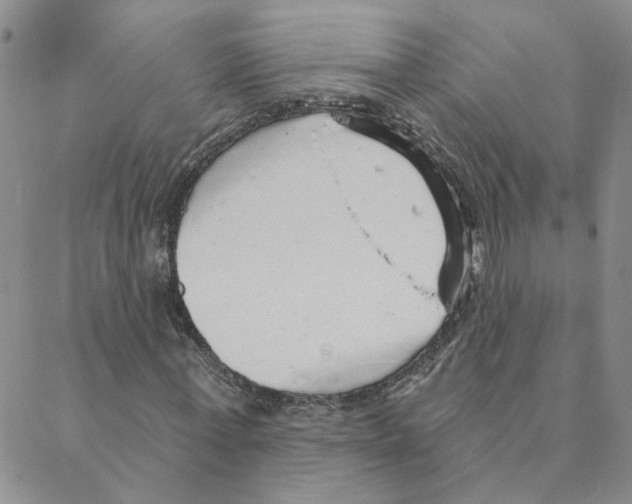 X0000088180771200706121650