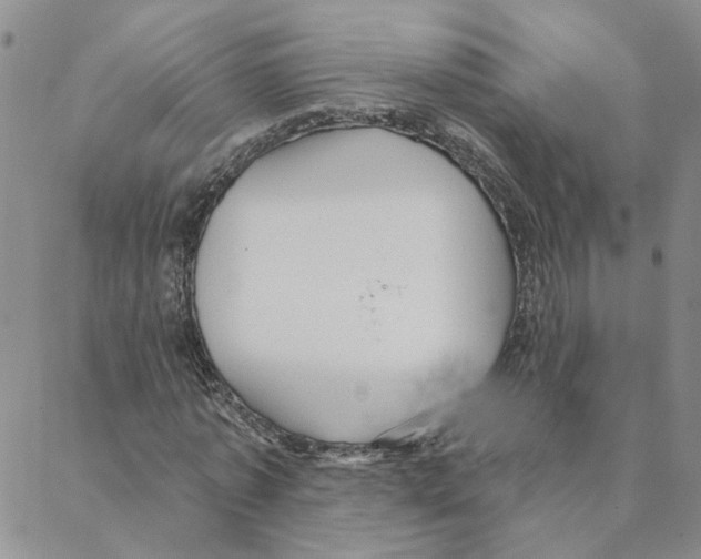 X0000088180773200706121650