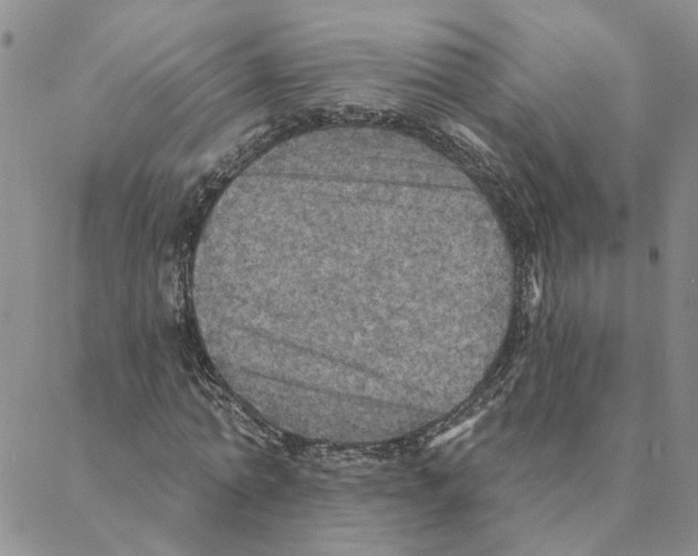 X0000088180774200706121650