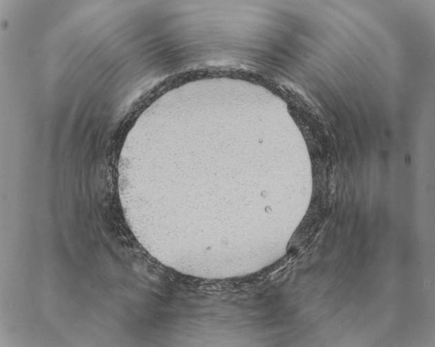 X0000088180776200706121650