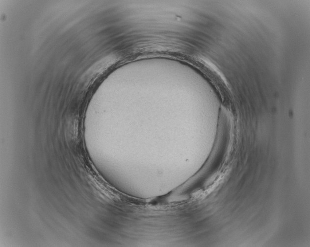 X0000088180777200706121650