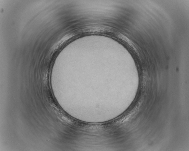 X0000088180778200706121650