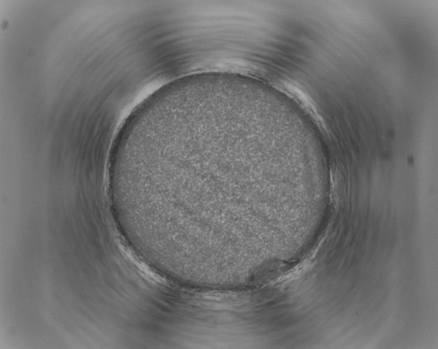 X0000088180780200706121650