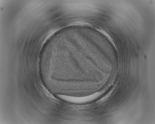 X0000088180783200706121650