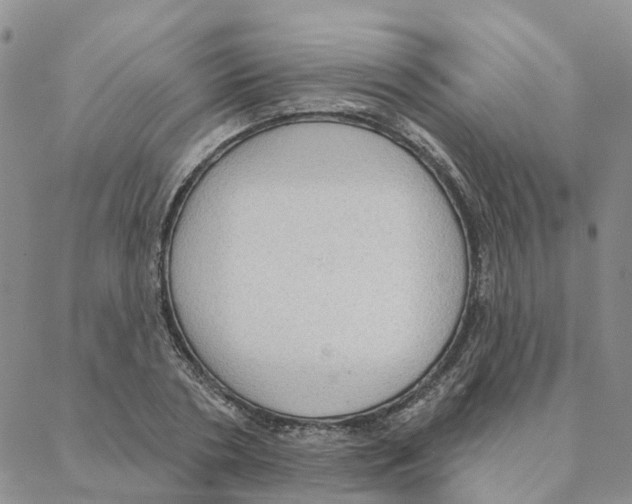 X0000088180786200706121650