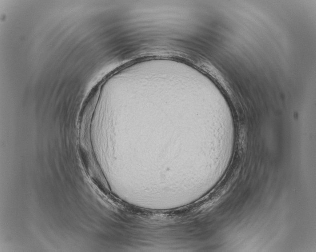 X0000088180787200706121650