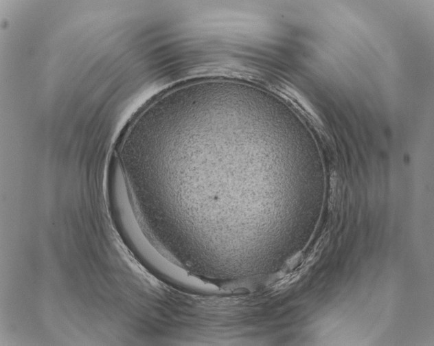 X0000088180788200706121650