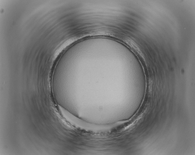 X0000088180789200706121650