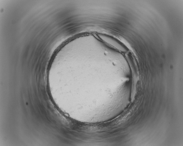 X0000088180791200706121650