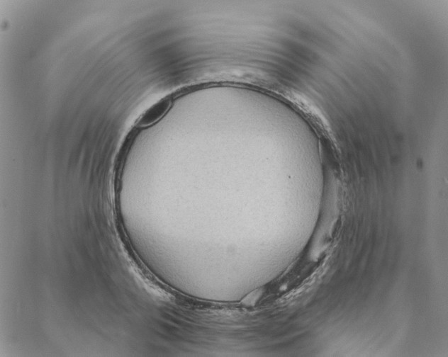 X0000088180792200706121650