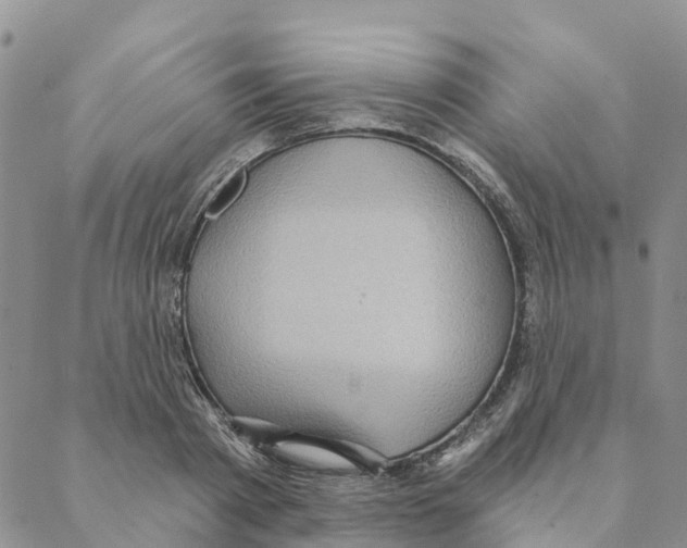 X0000088180793200706121650