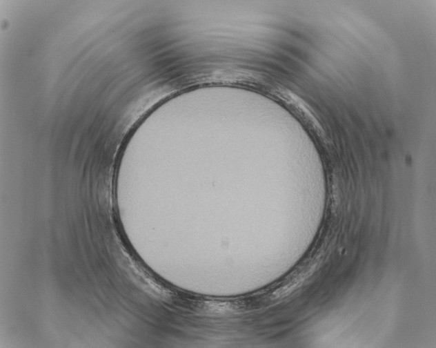 X0000088180794200706121650