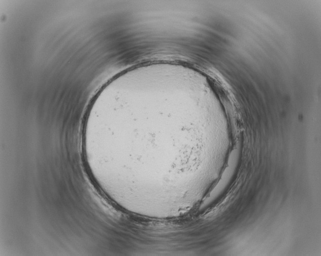 X0000088180795200706121650