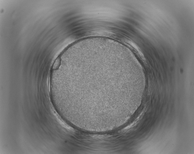 X0000088180796200706121650