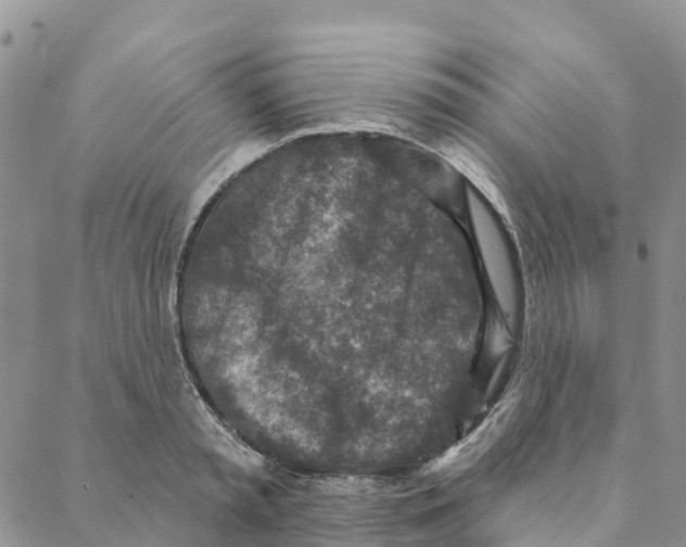 X0000088180797200706121649