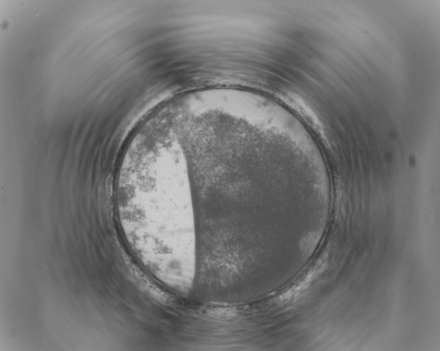 X0000088180798200706121649